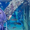 Explore DubaiâS Lost Chambers Aquarium: Tickets For One, Two, Or Four Dubai - Image 5